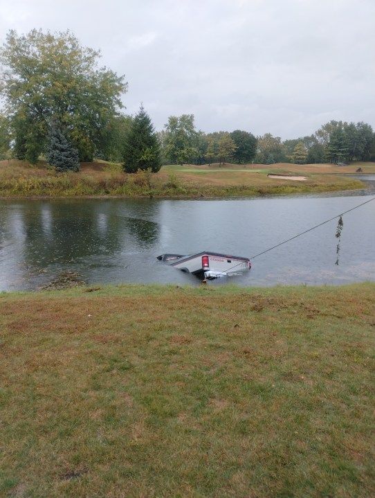 Puppy saved from drowning after man fleeing police crashes into golf course pond: Madison Co. Sherif