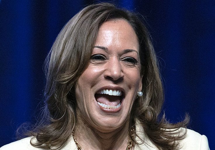 Kamala Harris Touted Alabama Mayoral Candidate as a Democratic 'Star.' She Lost Her Race the Next Da