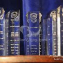 NAN's MLK Day Awards