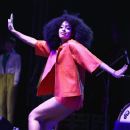 solange knowles