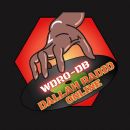 WDRO-DB DALLAH RADIO ONLINE