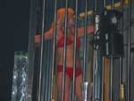 Cage Dancer at Club Bleu