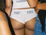 BMF Model