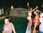 Teasers Pool (Roof)