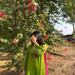 rohin